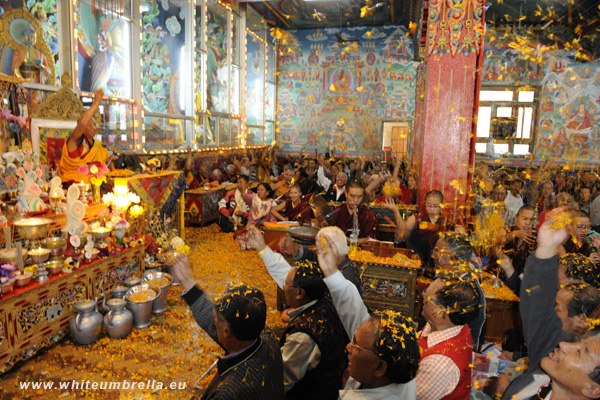 KHCP Flower offerings with Sherab Gyaltsen Rinpoche on the last day of the Nyungnay fasten practice Kathmandu