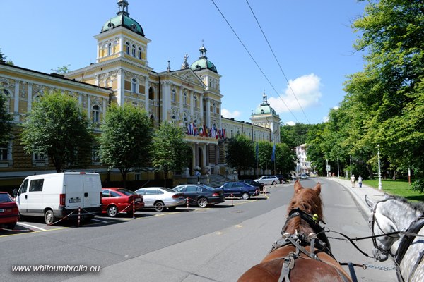 carriage ride