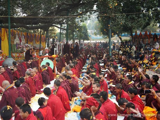 Final offerings Bodhi tree