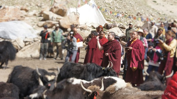 Karmapa in Leh Ladakh