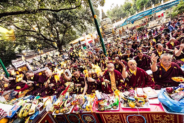 Final offerings Bodhi tree