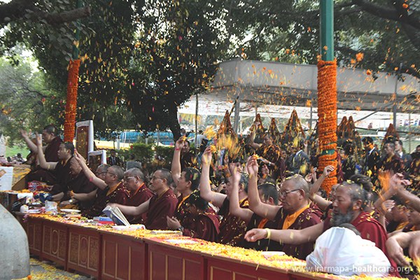 Final offerings Bodhi tree