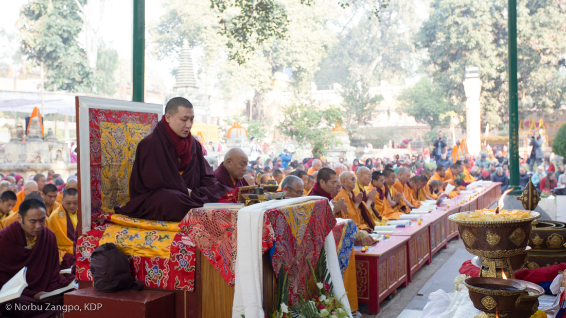 Final offerings Bodhi tree